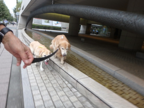 f0052277_01180069.jpg