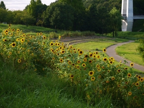 a0147281_20451677.jpg
