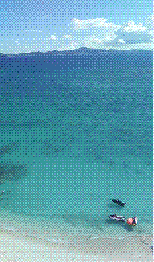 e0199691_02174919.gif
