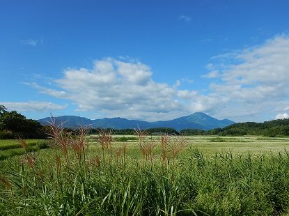 箸が転がって泣くオジサン_e0077899_161616.jpg