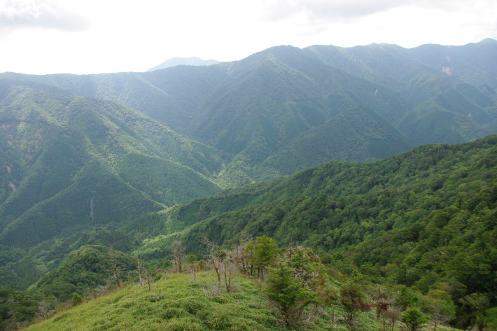 d0341514_21101994.jpg