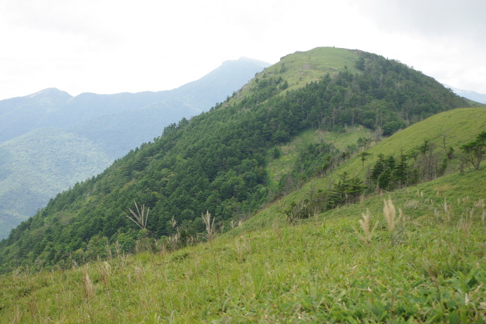 d0341514_21121295.jpg