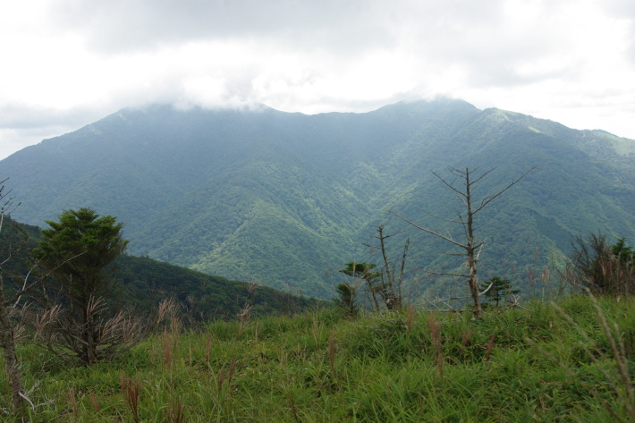 d0341514_21151976.jpg
