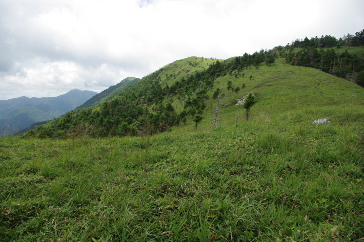 d0341514_21171404.jpg