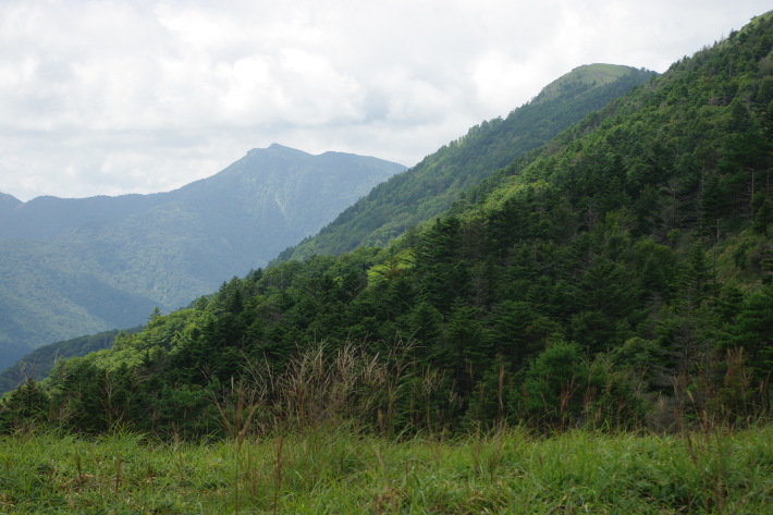 d0341514_21173859.jpg