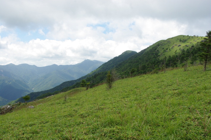 d0341514_21193822.jpg