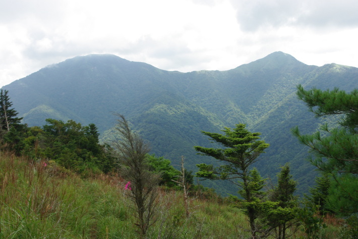 d0341514_21203657.jpg