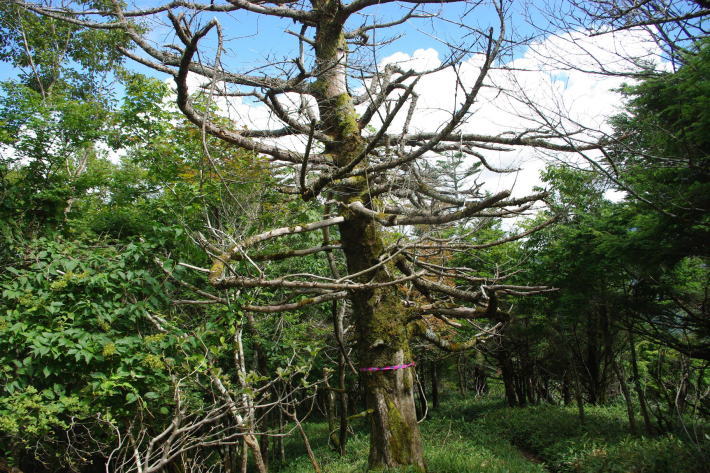 d0341514_21402913.jpg