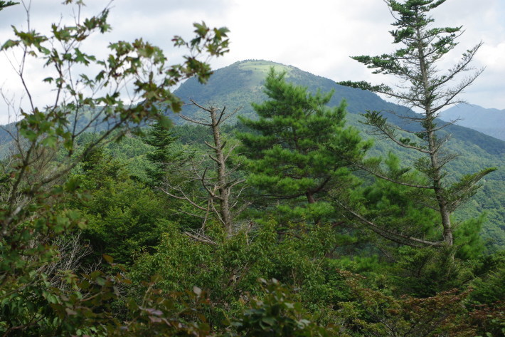d0341514_21405919.jpg