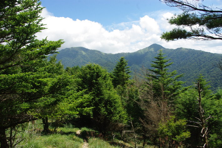 d0341514_21412870.jpg