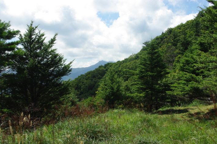 d0341514_21420032.jpg