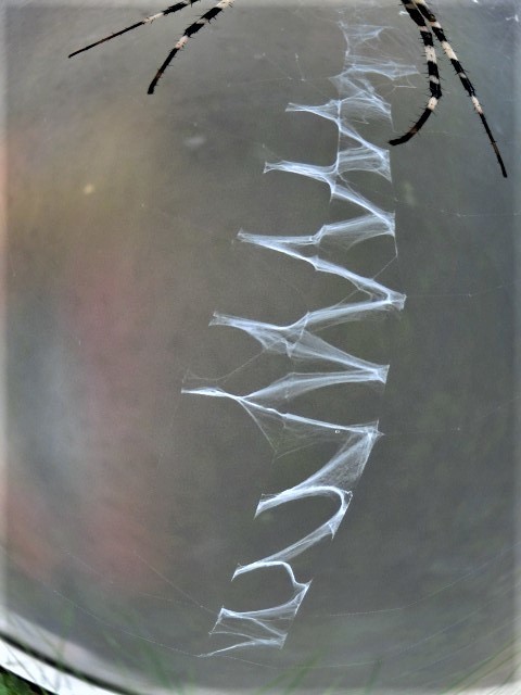 f0354923_22273042.jpg