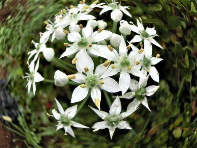 f0354923_22571090.jpg