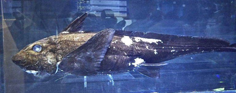 a0108328_21083359.jpg