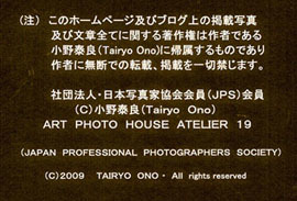 a0217029_22082560.jpg