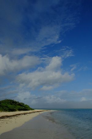 竹富島ぐるぐる④朝散歩_c0148238_17455607.jpg