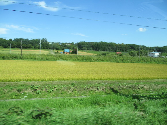 a0279743_13474995.jpg