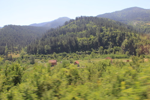 c0011649_08163449.jpg
