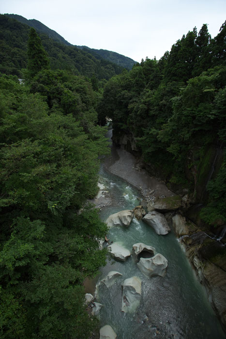 d0342652_11373170.jpg