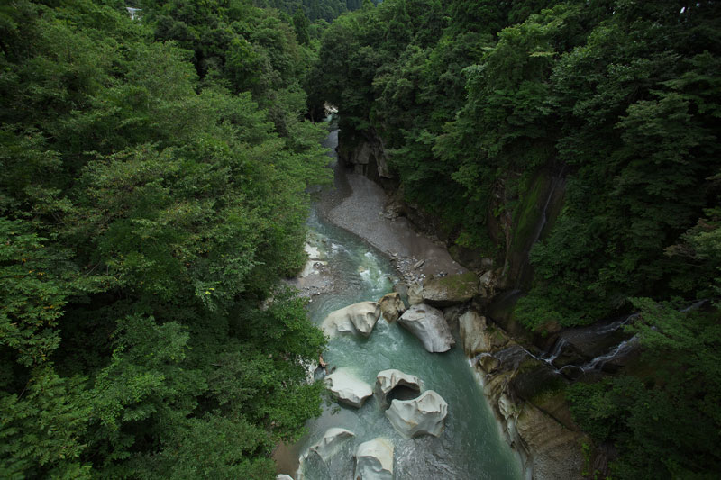 d0342652_11375522.jpg