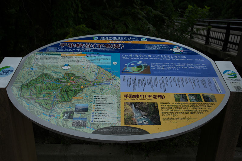 d0342652_1137898.jpg