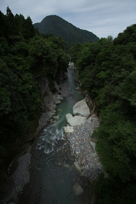 d0342652_11392546.jpg