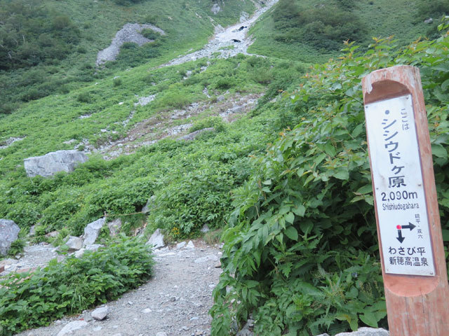 c0116856_20301913.jpg
