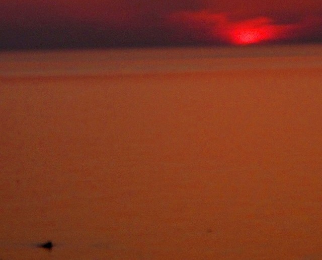c0119160_21425294.jpg