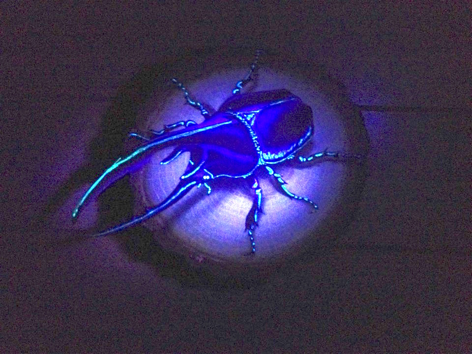 a0021565_2134982.jpg
