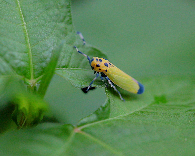 c0305565_17450363.jpg