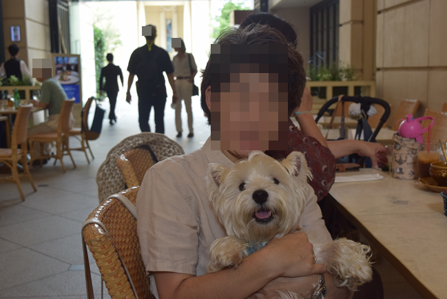 b0242873_01183215.png