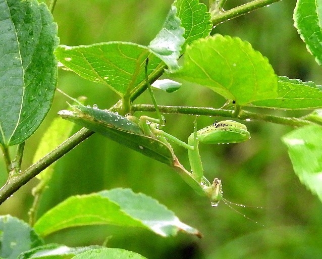 f0378979_16291281.jpg