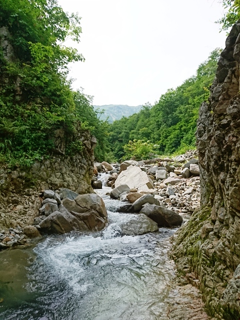 2日連チャンお山釣行_c0157482_08593154.jpg