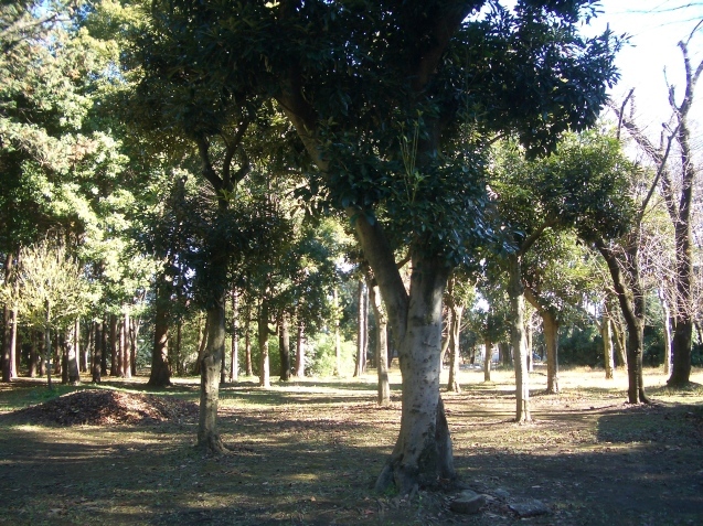 d0361999_13030981.jpg