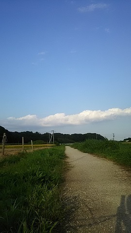 みんなでお散歩_f0242002_20565568.jpg