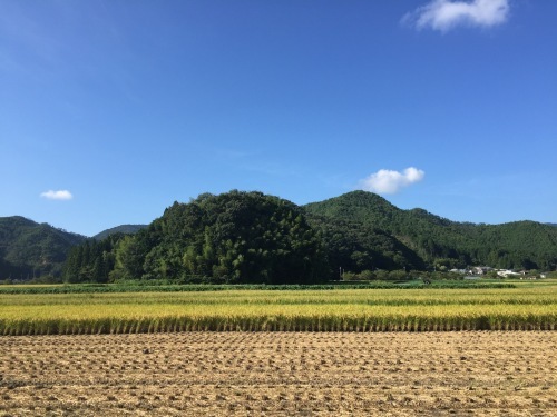 ９月１０日（日）中国茶教室空席ございます。_d0293004_17322883.jpg