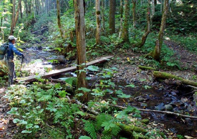 a0345007_1313230.jpg