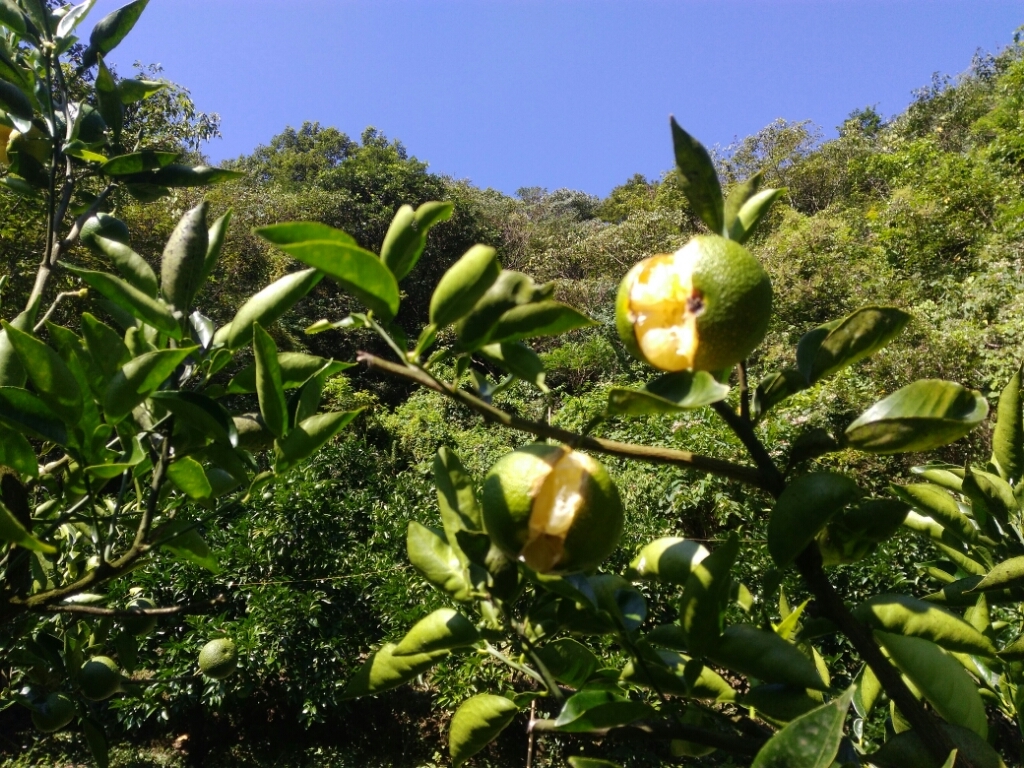 忙。_a0300410_23345981.jpg