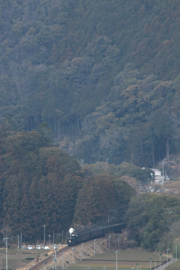 ぽっ - 2017年・大井川 -_b0190710_22301836.jpg