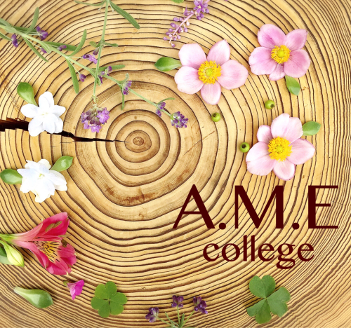 A.E.M college 第4回・フェイシャルヨガ_c0227612_22591730.jpg