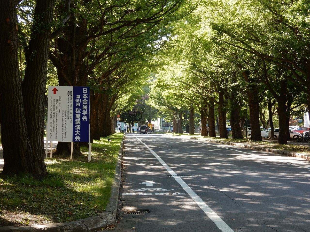 朝は霧　今日も夏日　北大へ_c0025115_21264741.jpg