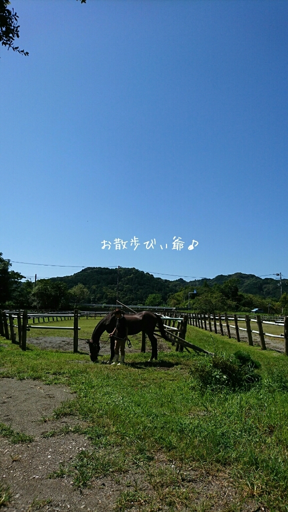 b0187620_20343785.jpg