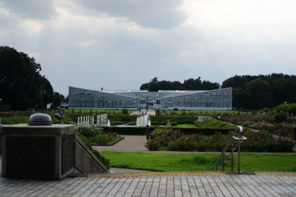 コーヒータイム 201608 @神代植物公園_f0249630_20401048.jpg