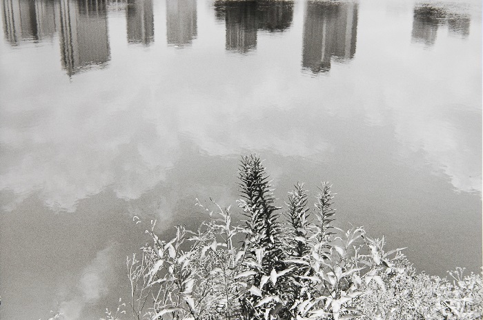c0381632_15355859.jpg