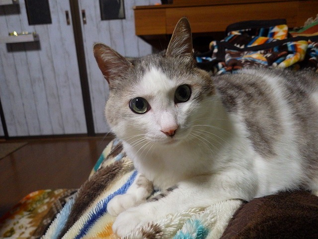 a0337237_15242956.jpg