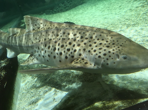 b0209638_15262395.jpg