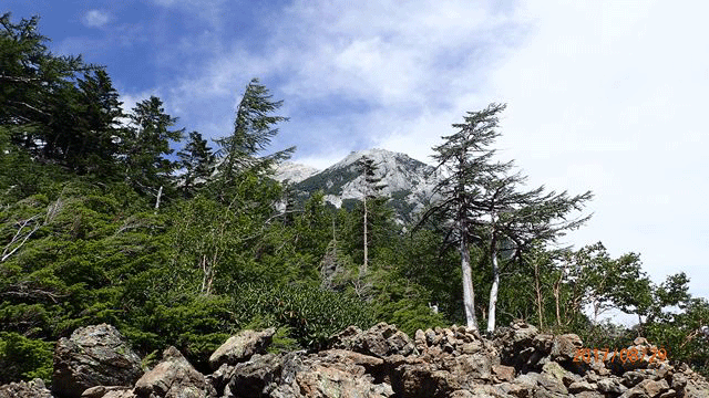 e0371039_7283021.gif