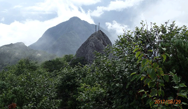 e0371039_7291661.gif