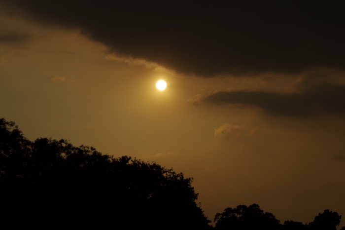 d0185744_11475679.jpg
