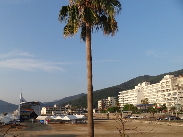 b0181748_21442666.jpg